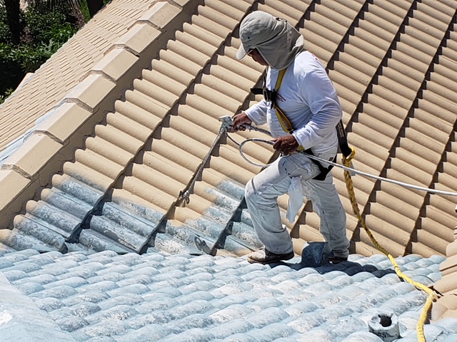 Roof Cleaning